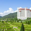 켄싱턴 호텔 평창 글램핑 빌리지 이미지