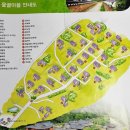 최수학 | 대구 옻골마을 동계정 수구당 전망대 그리고 마을 비보숲과 연못 이야기