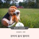 뉴하트동물병원 이미지