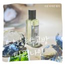 파펌나인 이미지