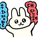모티식품 이미지
