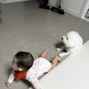 기영이 숯불 두마리 치킨 경북상주점 이미지