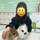 토끼성 | 토끼 수업후기