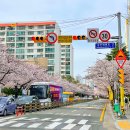 삼익택시(주) 이미지