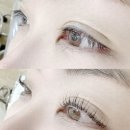 선브로우 | 인형 눈매 완성! 홍성속눈썹 선브로우뷰티 속눈썹 펌 후기