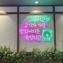 두툼돈288 이미지