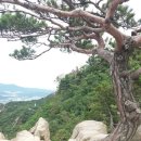 대바둑 이미지