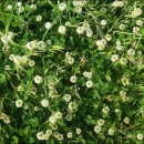 옥천성산만의총 이미지