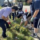 술이홀로(2) 이미지