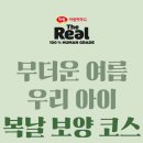 경일문구 | 𝓩𝓔𝓒𝓞 | 초복엔 삼계탕 하림펫푸드 더리얼 퀴진 먹방 / 강아지 복날 간식 추천 (강아지 뚝배기 기획세트)
