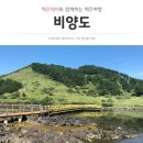 10월 20 ~ 21일(토,일) 1박 2일 제주도 한라산과 비양도 가을 단풍여행 안내 이미지