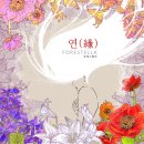 연(緣) 이미지