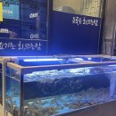 대하빌딩 | [수원/권선동] 대하 구이 &#39;회 뜨는 밤&#39; 웨이팅 및 솔직 후기