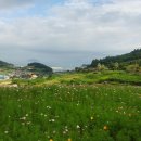 바다가 보이는 펜션 | 자연 속 가성비 숙소 찾는다면? 청산도펜션, 청산도ok펜션 후기 | 바다가 보이는 힐링 숙소