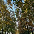 김중권 | 오랜만에 만난 언니들에게 들은 유넥사 소식 ^^~