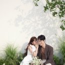 더 해밀 이미지