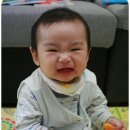 동준이 농장 이미지