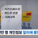 알리에 이미지