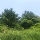 고산리마을회관 이미지