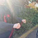 수산리-2 | 제주도 X 제주관광공사 X 저스트하우스닷 │ 성읍데이 ‘오,마이갓제주헌터스’ 체험 후기