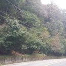 여주-0057 네이버블로그