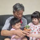 지혜반 김소은 이미지