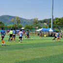 안동강변체육공원 축구장 프레시안