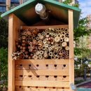 Bee HOTEL 이미지