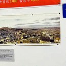 신신옥 티스토리