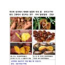 호박공주 - 북구 칠곡중앙대로118길 28 | 호박공주