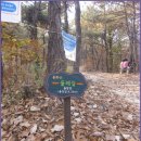 봉화산둘레길 이미지