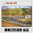가장근린공원 | 청주 율봉근린공원 산책로 후기｜맹꽁이서식처부터 숲길 힐링까지