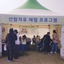 수원시 산림치유 프로그램.....몸과 마음을 채우는 힐링의 시간 이미지