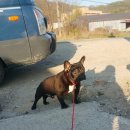 수정-130 이미지