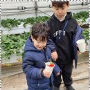 천마태권도장 | 문수동태권도 흐뭇한 학부모후기: 여수 천마 태권도장 체험기