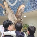 소문난떡방앗간 | 경주 당일치기 (소문난암뽕수육 / 경주떡방앗간 부추가래떡 / 동궁원 / 오아르미술관 / 성동시장 천북...