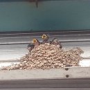 세연정모텔 이미지