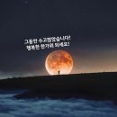 물드네일 이미지