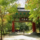 강천산군립공원(구장군폭포) 이미지