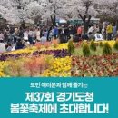 경기도 벚꽃 명소 수원화성 경기도청 봄꽃축제 수원 가볼만한곳 이미지