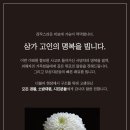 산본용인대체육관 이미지