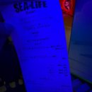 주차32 | 해운대 아쿠아리움 32개월 아기 후기｜주차·할인·공연시간 총정리