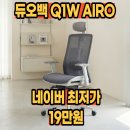 Q-1 | 듀오백Q1W AIRO 에어로 메쉬 의자 후기 최저가 정보 공유