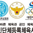 주짓수&엠엠에이 이미지