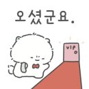 육회상쾌통쾌 이미지