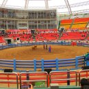 청도소싸움경기장 이미지