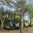 성동 서울숲 여름캠핑장 이미지