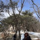 일미통닭 이미지