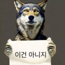 아이엔락 | 빠순이의 여름나기
