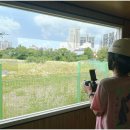 대한드론교육원 이미지